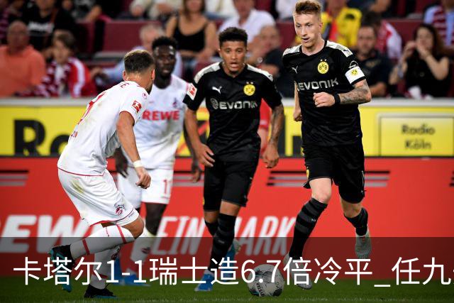 卡塔尔1-1瑞士造6.7倍冷平 任九开53注25.3万元